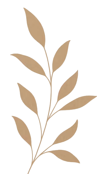 palme